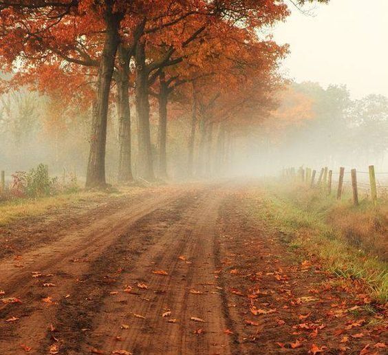 El otoño incrementa su presencia y el frío se instala en la ciudad