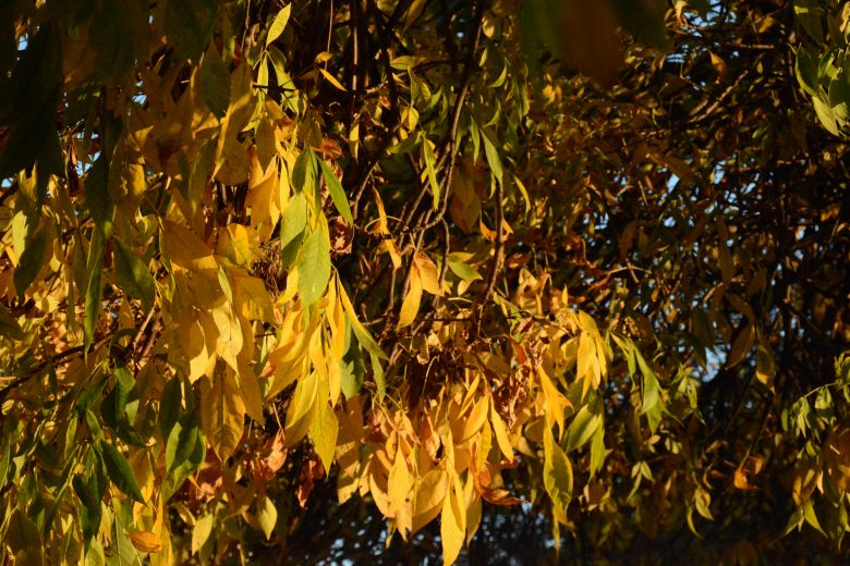 Fin de semana agradable  y un otoño para disfrutar