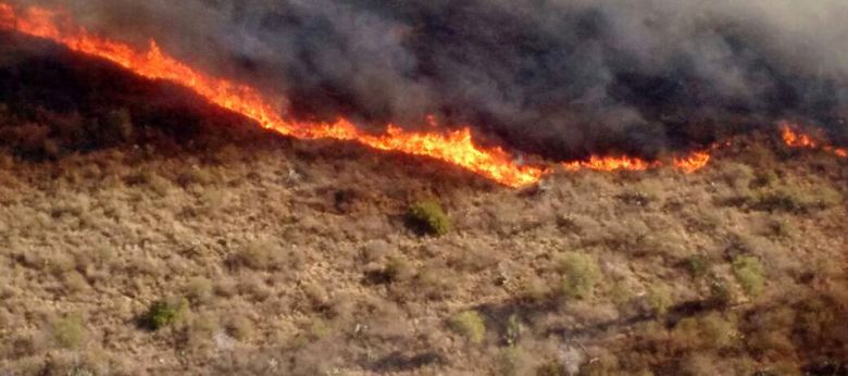 Más de 45 bomberos buscan controlar este viernes el incendio en Alpa Corral