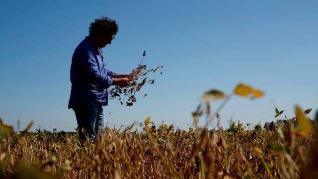 El escenario post pandemia para el campo