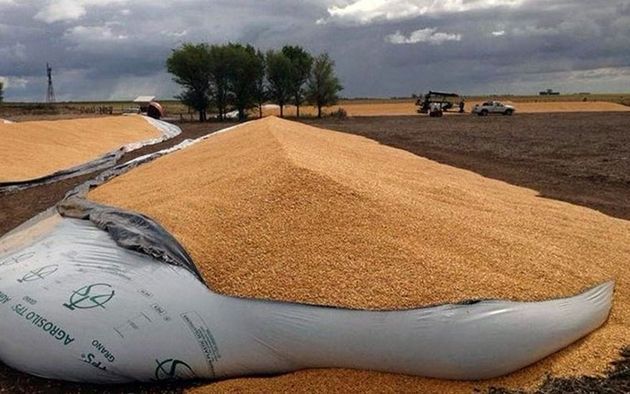 Rompen más silobolsas y crece el malestar entre los productores