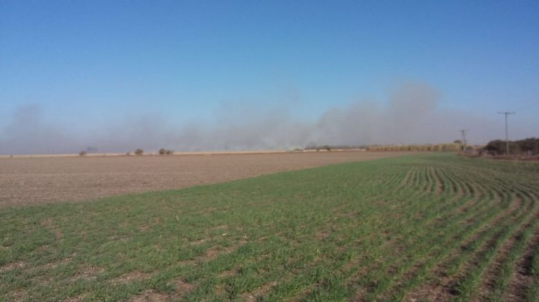 Intenso trabajo de los cuarteles de bomberos de Río Cuarto y la región por incendios de pastizales 