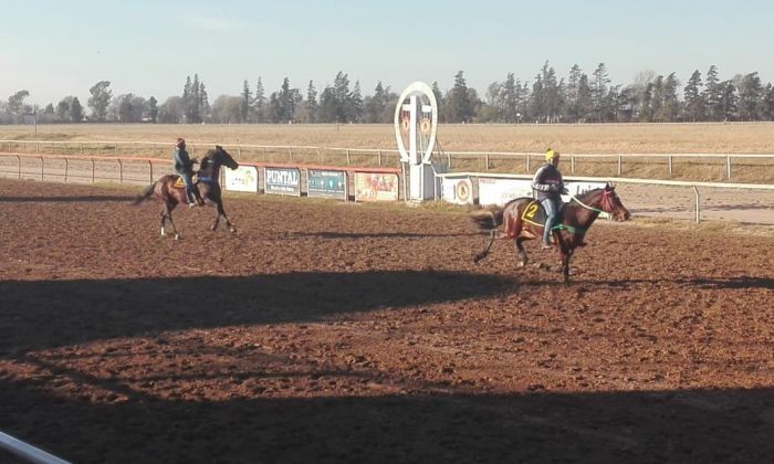 Hipódromo al día