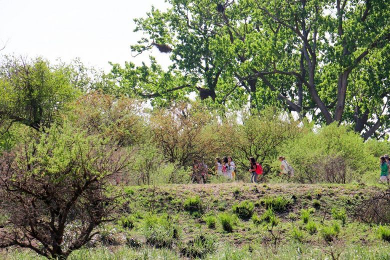 Preocupación por los reiterados incendios en el sector de la Reserva Natural Chocancharava