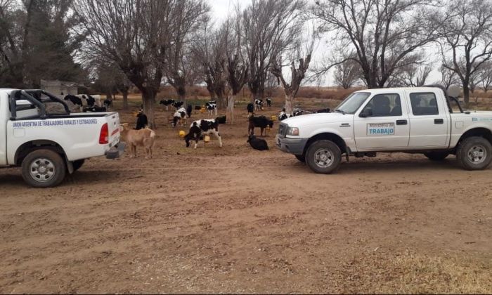 El presidente de la Sociedad Rural repudió el trabajo en condiciones infrahumanas descubierto en un campo de Coronel Moldes