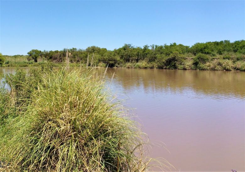 UNRC y Bomberos recorrieron la reserva Chocancharava tras detectar tala de árboles