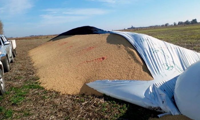 Seguridad rural: las entidades agropecuarias apoyan la reforma del Código Penal