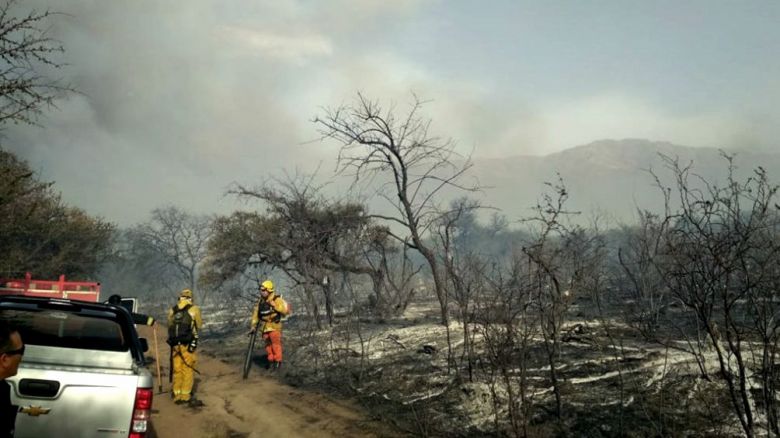 Los incendios forestales quemaron más de 40.000 hectáreas en Córdoba