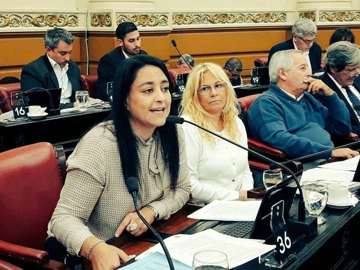 Soher El Sukaria, la diputada que se le plantó a Sergio Massa con un filoso discurso