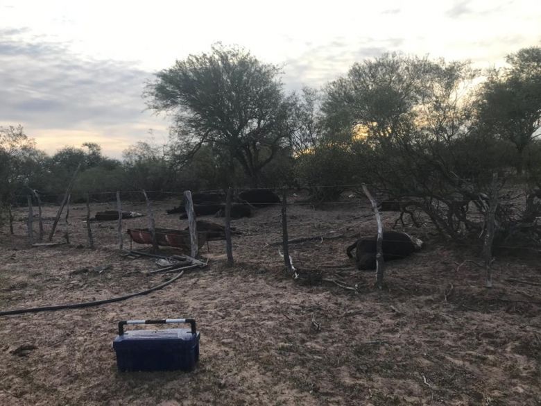 Panorama desolador viven los productores en San Luis 