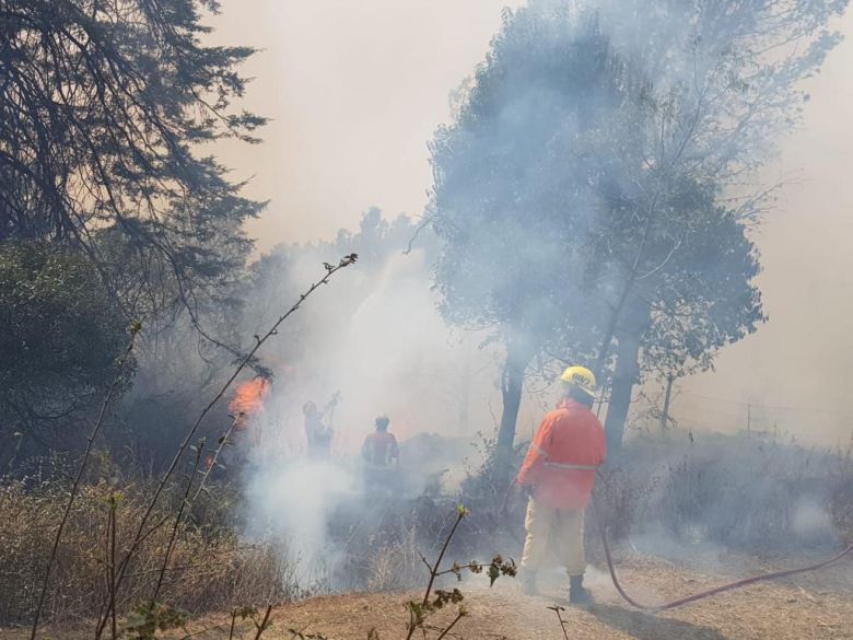 Más de 200 bomberos combaten incendios en Las Albahacas, Alpa Corral y El Chacay