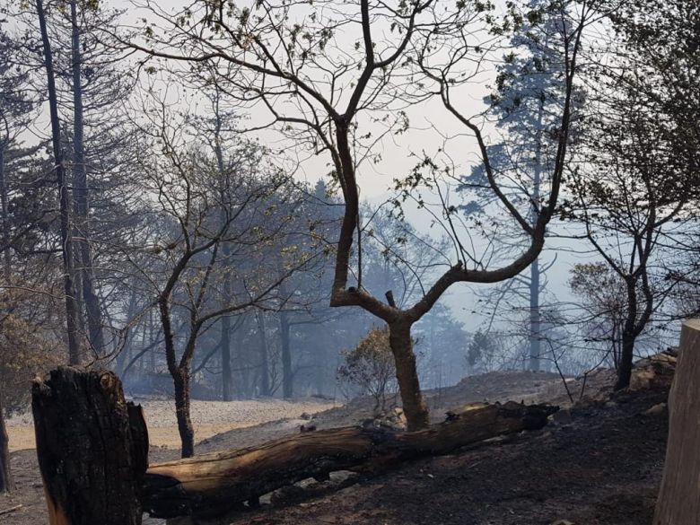 Más de 200 bomberos combaten incendios en Las Albahacas, Alpa Corral y El Chacay