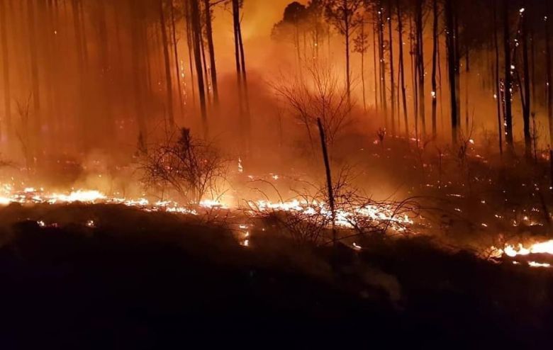 "Los aviones no apagan los incendios"