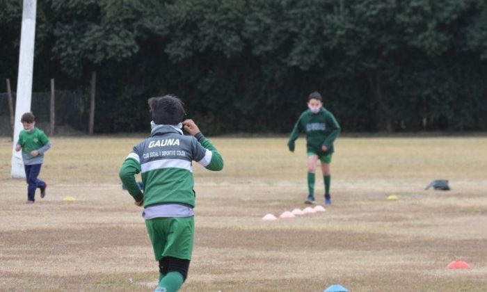 Preparación física individual y asistida en instituciones deportivas