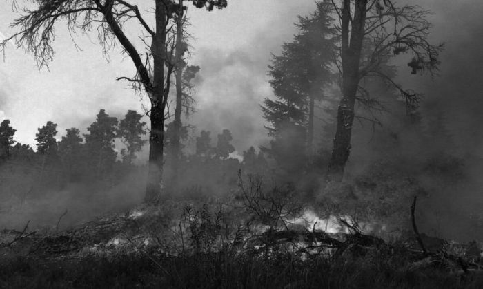 Habrá un operativo en Alpa Corral para que productores afectados puedan acceder a la emergencia agropecuaria