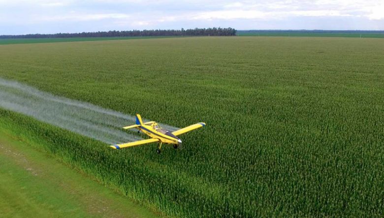 “La Provincia y nosotros debemos evaluar la incorporación de empresas aeroaplicadoras al Plan del Manejo del Fuego"