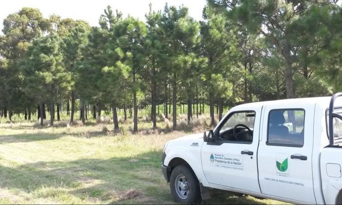 El campo experimental “Las Guindas” de la UNRC no sufrió consecuencias severas durante los incendios