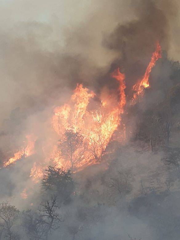 “Alpa Corral está rodeado de negro por los incendios” 