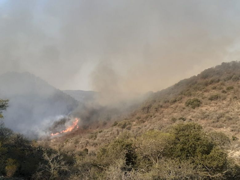 “Alpa Corral está rodeado de negro por los incendios” 