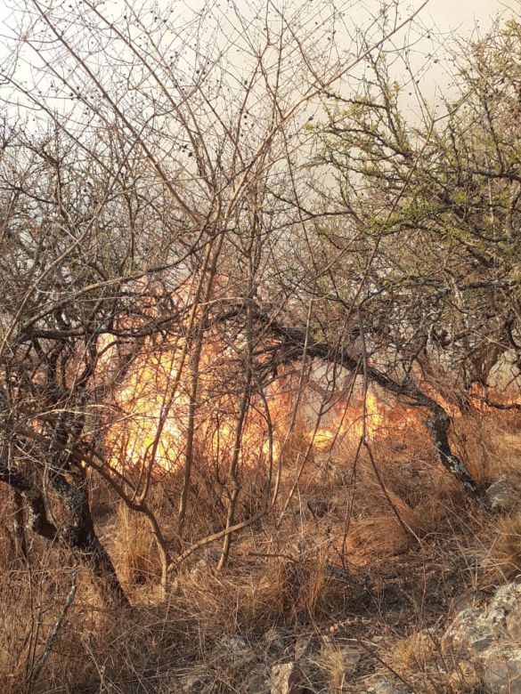 “Alpa Corral está rodeado de negro por los incendios” 