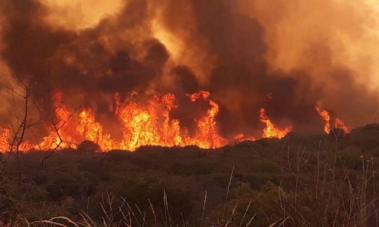 Continúa activo el fuego en zona de Capilla del Monte