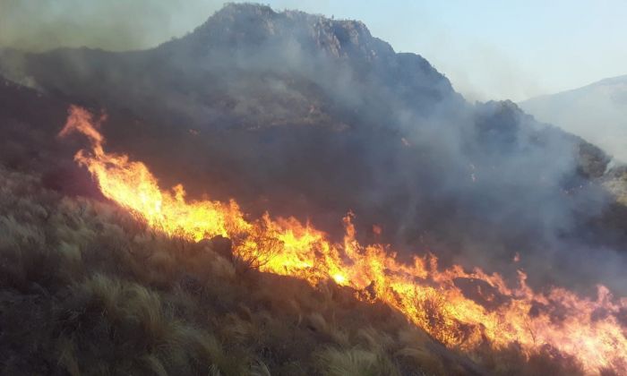 Lamentan la frecuencia y la intencionalidad de los incendios en Las Albahacas