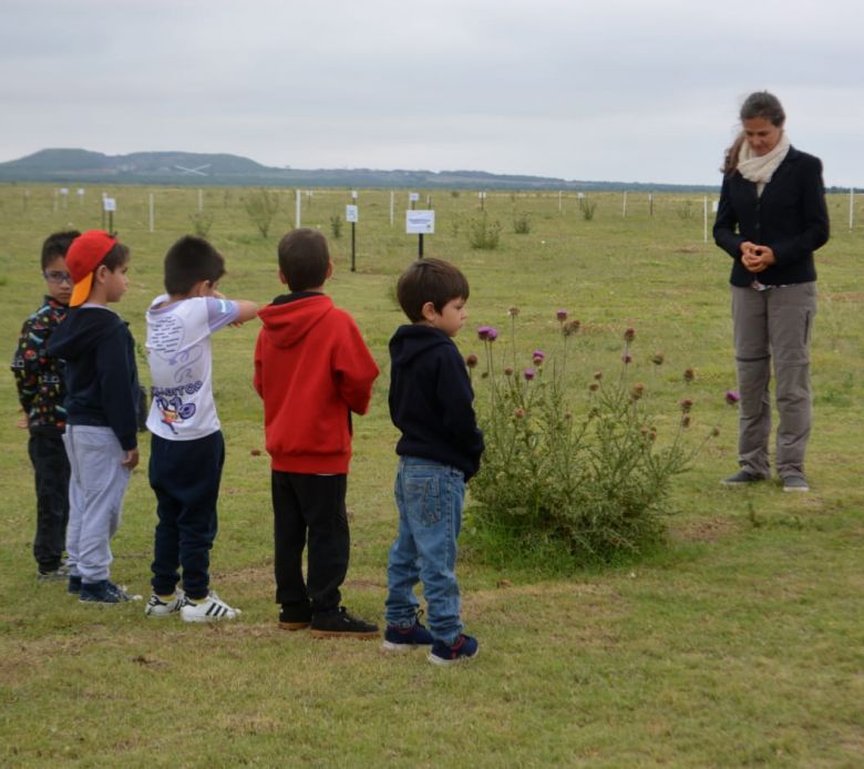 Histórica restauración de bosque nativo en Justo Daract