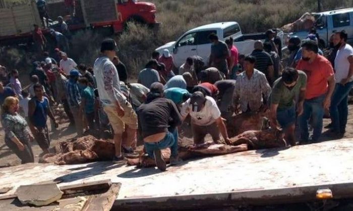 Saquearon la carne que transportaba un camión que volcó en la ruta