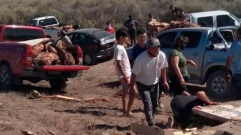 Saquearon la carne que transportaba un camión que volcó en la ruta