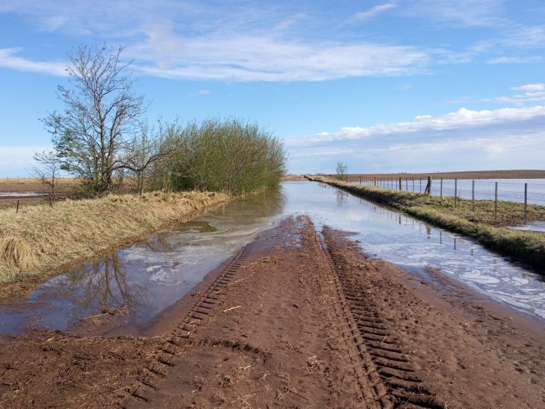 Imágenes impactantes de cómo afectó la lluvia a los caminos rurales  