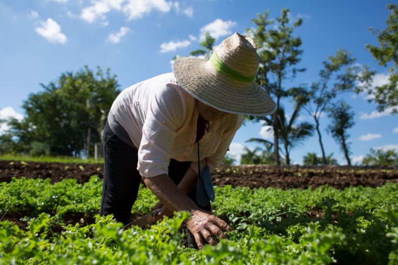 "Vivir y trabajar en el campo es una situación de conciencia"