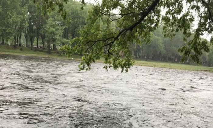 La lluvia generalizada en la región de Río Cuarto cambió el ánimo