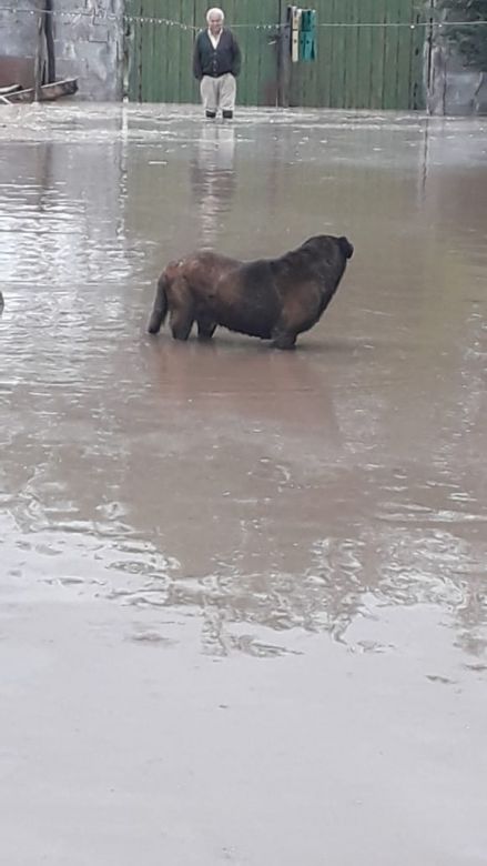 Vecinos de Banda Norte sufrieron anegamientos por la intensa lluvia