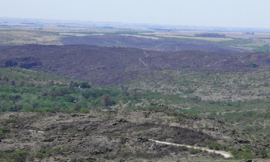 A un mes de los incendios: quedaron daños severos, aunque hay recuperación natural