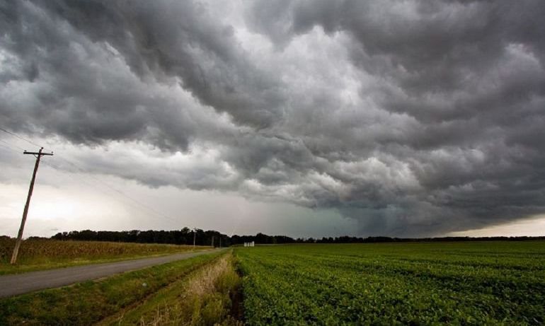 Las lluvias serán menos de lo normal, dispares y predispondrán plagas en cultivos