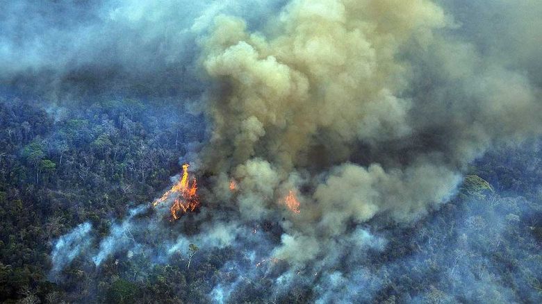 El Amazonas perdió el 8% de su territorio en 18 años por la deforestación