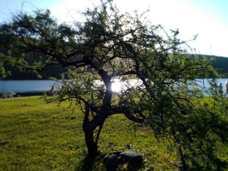 Atravesamos la primera ola de calor de diciembre 