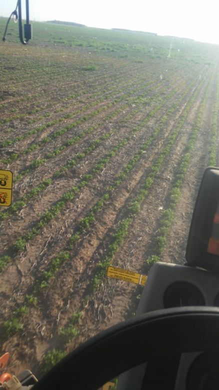 Río Cuarto y la región amanece con Micrófono Abierto 