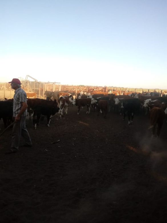 Río Cuarto y la región amanece con Micrófono Abierto 