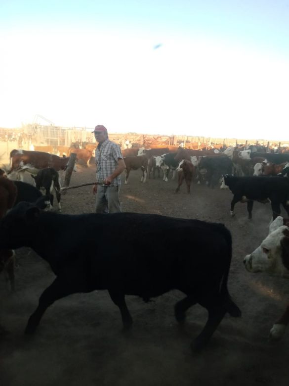 Río Cuarto y la región amanece con Micrófono Abierto 