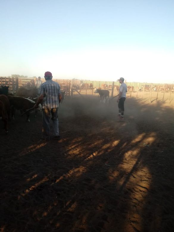 Río Cuarto y la región amanece con Micrófono Abierto 