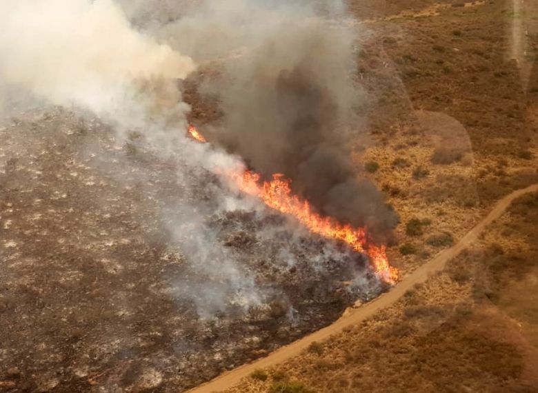 Brigadistas forestales  de Las Albahacas y El Chacay agradecieron donaciones para reequiparse