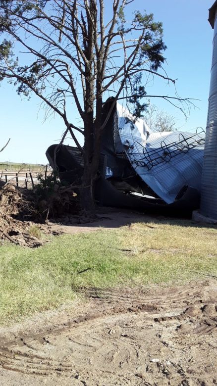 Caballos voladores durante la tormenta en un campo ubicado al sur de Río Cuarto