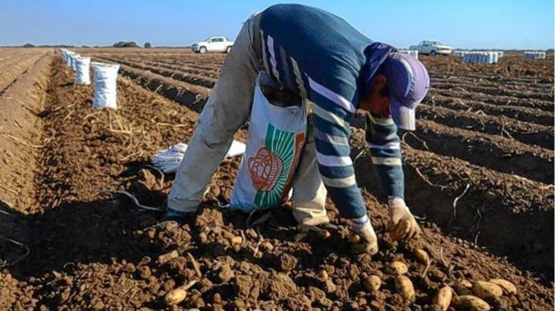 Sugieren a los trabajadores que provienen del norte del país que consulten por las oficinas de Uatre o Renatre