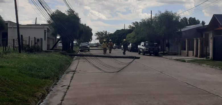 Una fuerte tormenta causó daños en Holmberg