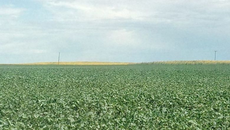 La provincia de Córdoba comienza a medir la huella agropecuaria