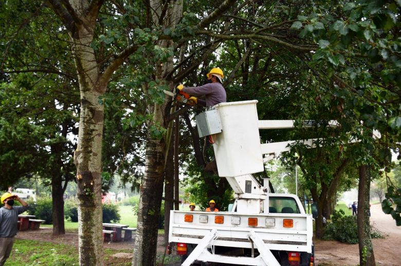 Comenzaron los trabajos de arbolado e iluminación en distintos puntos de la ciudad