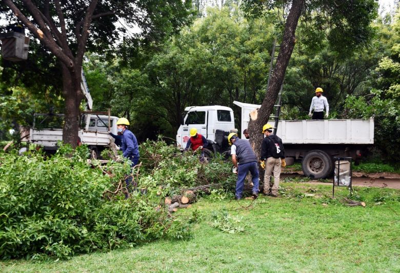 Comenzaron los trabajos de arbolado e iluminación en distintos puntos de la ciudad