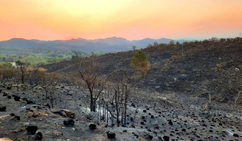 Entregan ayudas económicas a productores y familias afectadas por los incendios en Alpa Corral