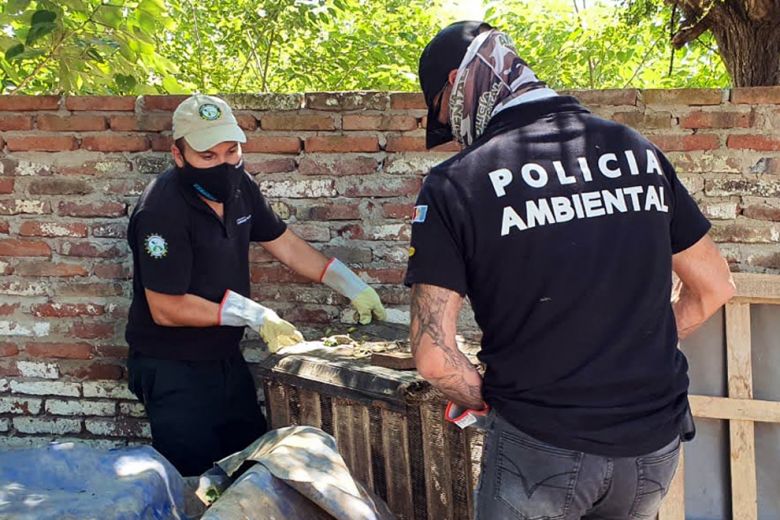 Policía Ambiental rescató 57 animales silvestres en La Carlota